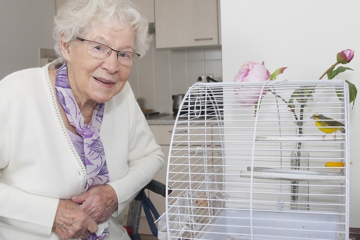 senior vrouw met vogelkooi Zorgfotograaf senior vrouw met vogelkooi
