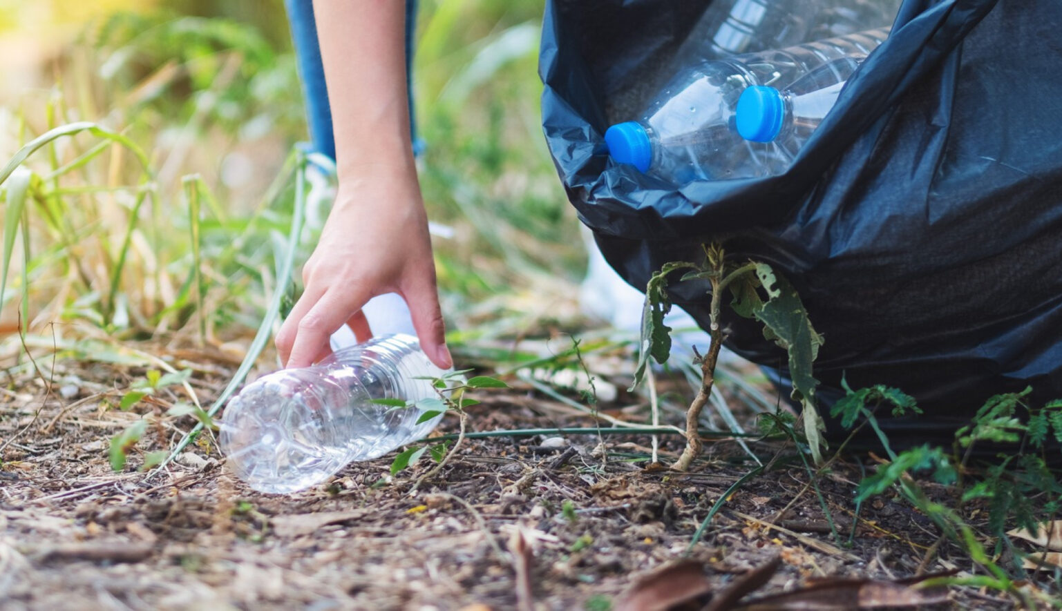 svg%3E - post de prueba 3